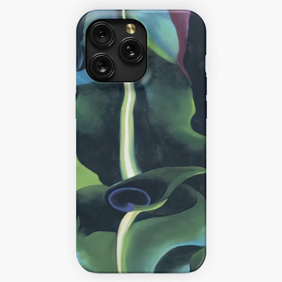 Photos - Case  Phone  for iPhone Samsung 19 18 17 16 14 13 12 11 Plus Pro Max Galaxy S28 S27 S26 S25 S24 S23 S2(Georgia O'Keeffe=6888)