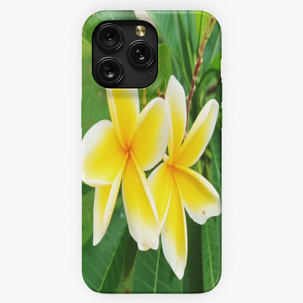 (Iphone Case, Ipad Case, Case=7137) Phone Case For Iphone Samsung 19 18 17 16 14 13 12 11 Plus Pro Max Galaxy S28 S27 S26 S25 S24 S23 S22 Ultra Note 2 4741628099446
