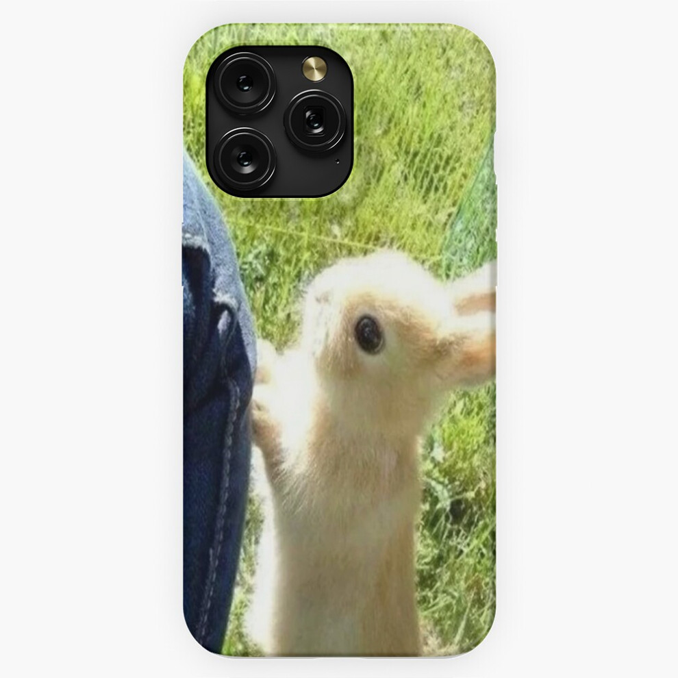 (Cute Bunny Rabbit Picture =10116) Phone Case For Iphone Samsung 19 18 17 16 14 13 12 11 Plus Pro Max Galaxy S28 S27 S26 S25 S24 S23 S22 Ultra Note 20 4741628129839