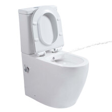 Combined Bidet Toilet Close Coupled Toilet with Bidet Rimless Comfort