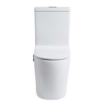 Combined Bidet Toilet Close Coupled Toilet with Bidet Rimless Comfort