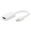 Mini DisplayPort to HDMI Female Adapter Cable(White) 2
