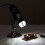 1000X Magnifier 0.3MP Image Sensor USB Digital Microscope with 8 LED & Professional Stand(Black) 11