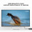 USB 3.0 to HDMI Converter Large Shell(Black) 6