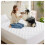 (Single Mattress Protector) Fitted Mattress Protector Cover Single Double King 5