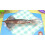 Refurbished Cooking Mama: Cookstar (Nintendo Switch) 5