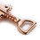 JXS Corkscrew Oro per Vino e Birra, Apribottiglie Multifunzionale 4