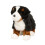 Douglas Douglas Stevie Berner Sennenhond Pluche Knuffeldier 8