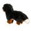 Douglas Douglas Stevie Berner Sennenhond Pluche Knuffeldier 6
