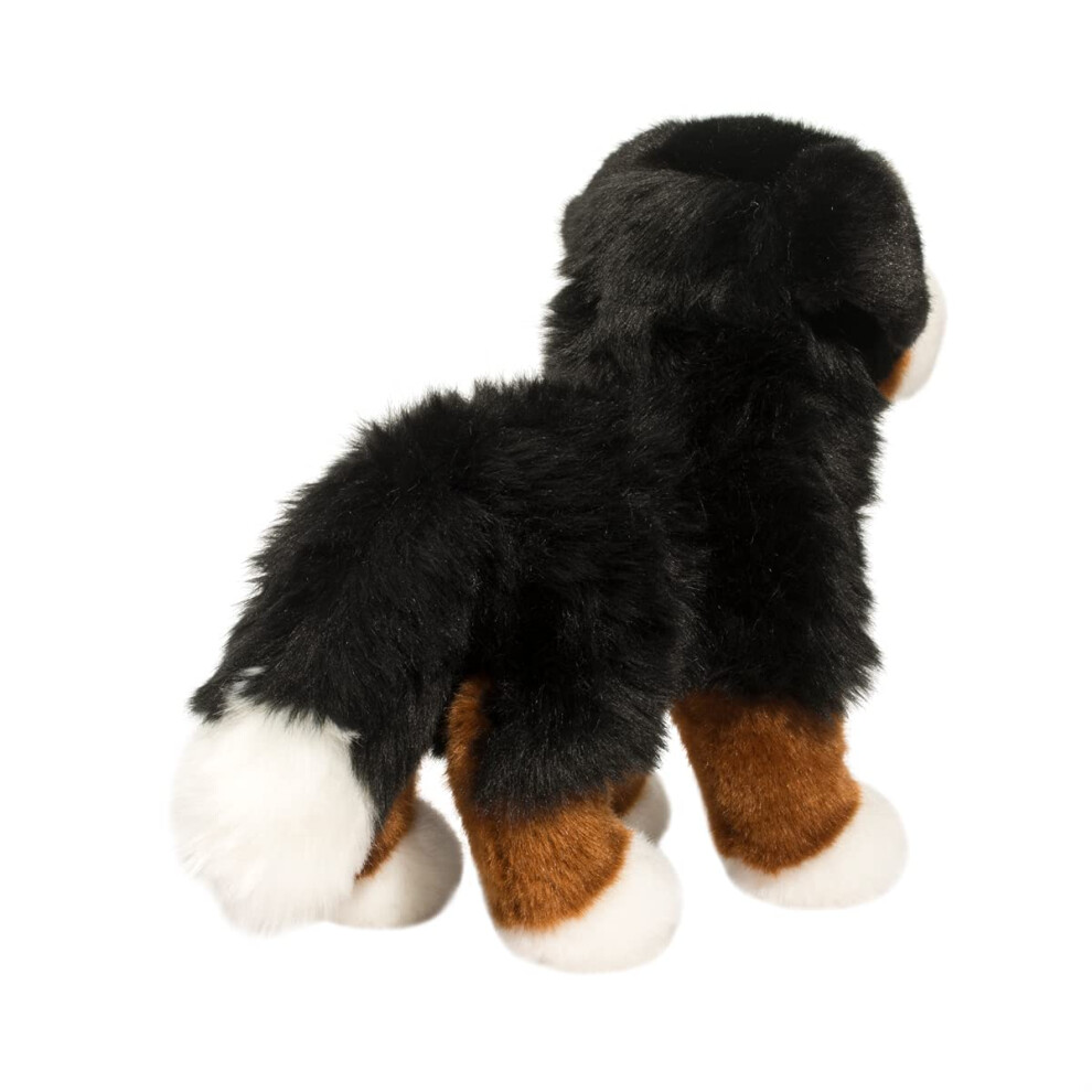 Douglas bernese mountain dog hotsell