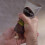 Just For Men Just for Men Control GX Grey Reducing Shampoo For Lighter Shades 5