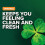 Irish Spring bar Soap (20/3.75 Oz Net Wt Oz)  Original  74 Ounce (Pack of 1) 7