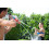 Stream Machine Water Gun Launcher - Single Barrel Water Blaster - Squi 6