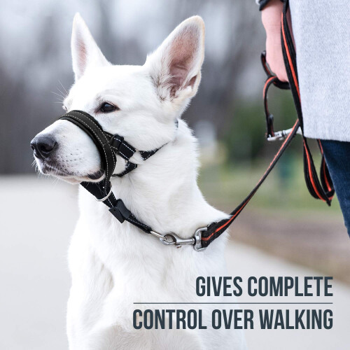 GoodBoy Dog Head Halter with Safety Strap - Stops Heavy Pulling On The 1