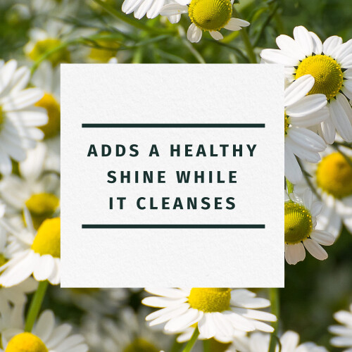 Herbal Essences Herbal Essences Shine Collection Shampoo 2