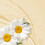 Herbal Essences Herbal Essences Shine Collection Shampoo 7