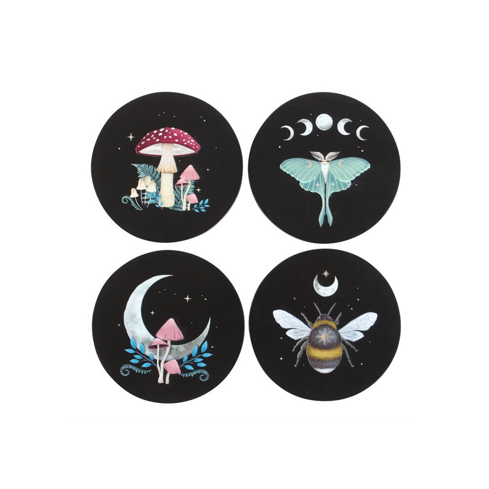Something Different Dark Forest Coaster Set