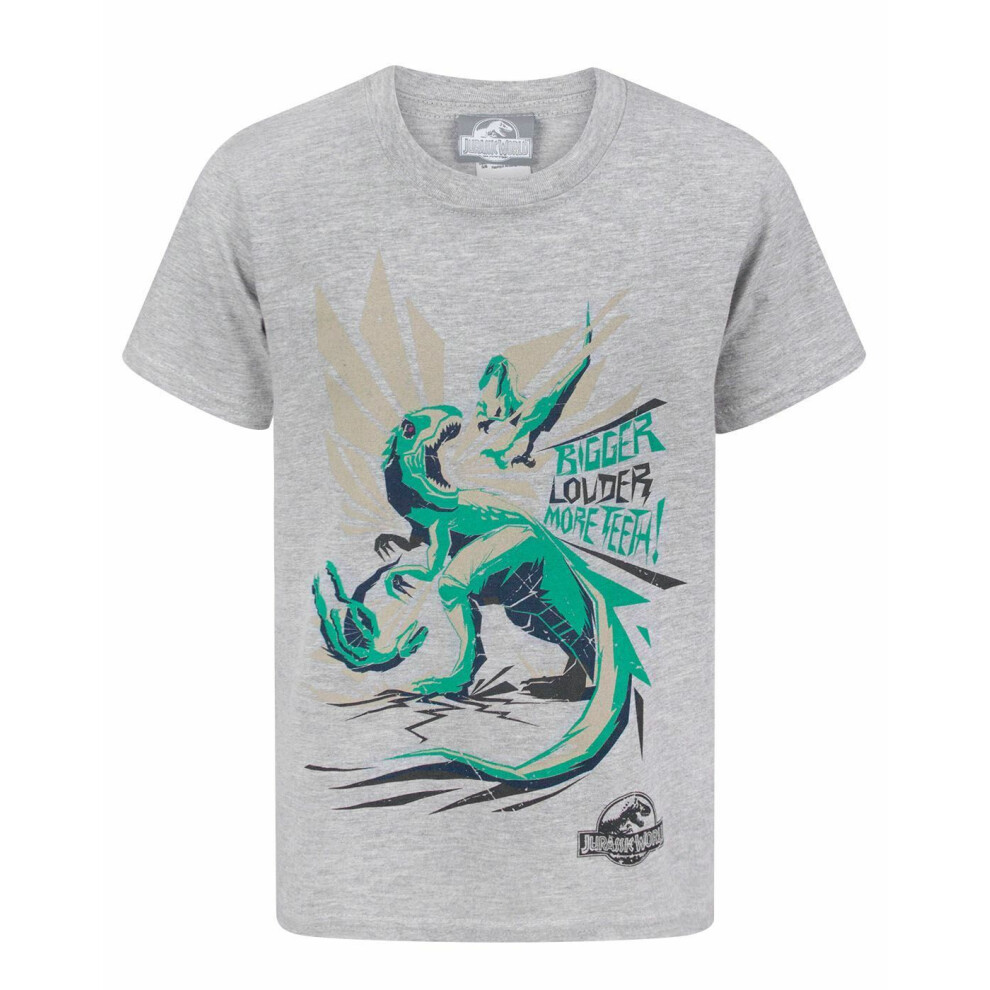 (12-14 Years) Jurassic World Short Sleeved T-Shirt (Boys Grey)