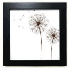 Flower  Dandelion  Black Square Frame Picture Wall Tabletop