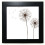 Flower  Dandelion  Black Square Frame Picture Wall Tabletop 1
