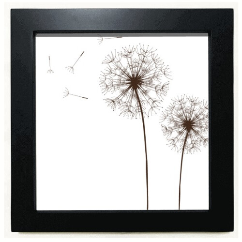 Flower  Dandelion  Black Square Frame Picture Wall Tabletop