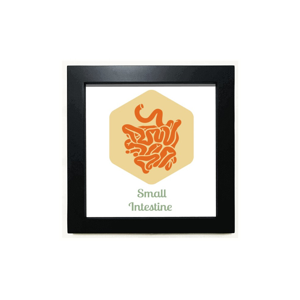 Body  Small Intestine Black Square Frame Picture Wall Tabletop-image-OPC-PFJJ8W9-NEW