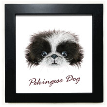Black and white Cute Pekingese Dog Pet Animal Black Square Frame Picture Wall Tabletop