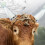 Cattle Horn Protetor Salad Dressing Trumpet Protective Cover Abutment Practical Protector 4