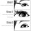 8 Pairs False Eyelashes 25mm Waterproof Lashes Extension False Eyelashes for Makeup, Eye Makeup 5