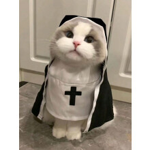 (Black, S) 1pc Cute Pet Halloween Costume Accessories, Cat/Small Dog Fancy Dress Outfit