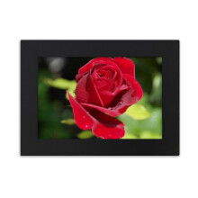 Dark Red Roses Flowers Desktop Photo Frame Ornaments Picture Art Painting