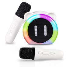 Karaoke stroj pre deti a dospelých s 2 mikrofónmi Hračka karaoke pre deti Bluetooth reproduktor