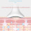 Équipement de beauté à compression de glace pour le visage (rose) 4