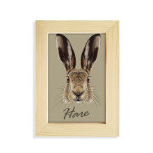 Grey Big-nosed Hare Animal Desktop Display Photo Frame Picture Art Painting 5x7 inch
