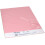 Rapid A2 Assorted Pastel Coloured Card 220gsm Pack of 30 4