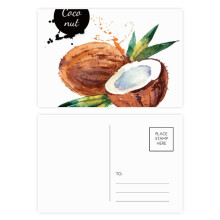 Coconut Fruit Tasty Healthy Watercolor Postcard Set Birthday Mailing Thanks Greeting Card