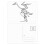 Skeleton Ostrich Decoration Pattern Postcard Set Birthday Mailing Thanks Greeting Card 1