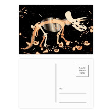 bs b miniature dinosaur postcard set birthday mailing thanks greeting card