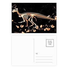 miniature dinosaur b bs postcard set birthday mailing thanks greeting card