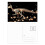 miniature dinosaur b bs postcard set birthday mailing thanks greeting card 1