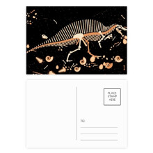 dinosaur grass b bs postcard set birthday mailing thanks greeting card