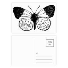 White Wings Specimen Postcard Set Birthday Mailing Thanks Greeting Card