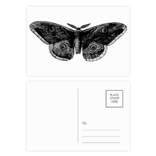 Black  Kite Postcard Set Birthday Mailing Thanks Greeting Card