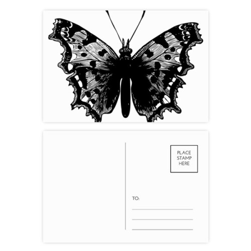 Black  Specimen Postcard Set Birthday Mailing Thanks Greeting Card