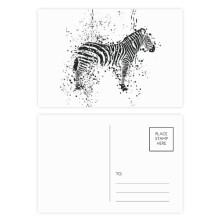 Mexican Pinto Simple Black And White Postcard Set Birthday Mailing Thanks Greeting Card