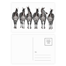 Different Action Pinto Animal Postcard Set Birthday Mailing Thanks Greeting Card