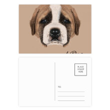 Brown Cute St.Bernard Dog Pet Animal Postcard Set Birthday Mailing Thanks Greeting Card