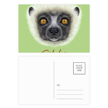 White Fluffy Sifaka Monkey Animal Postcard Set Birthday Mailing Thanks Greeting Card