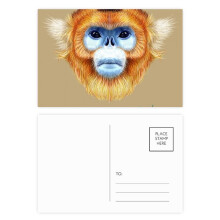 en snub-nosed monkey animal postcard set birthday mailing thanks greeting card