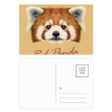Chestnut Red Panda Animal Postcard Set Birthday Mailing Thanks Greeting Card